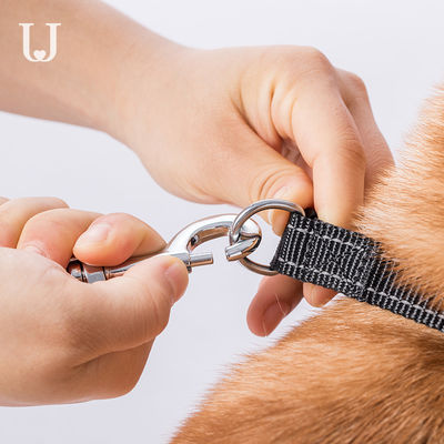 trela retrátil automática dorsal do cão da tração da trela de 5M Long Extendable Dog